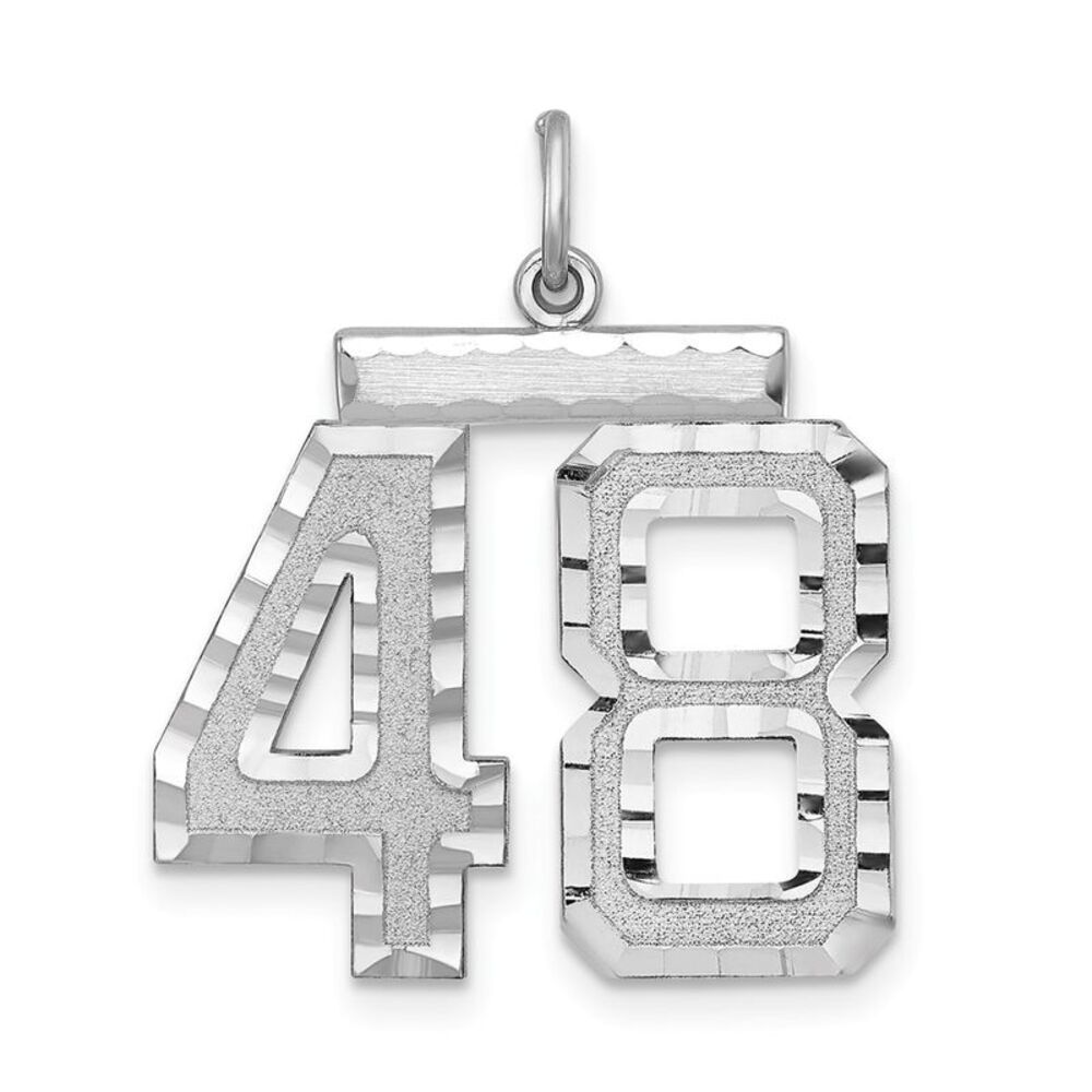 Sterling Silver, Varsity Collection, Large D/C Pendant, Number 48